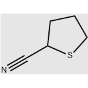 2-氰基四氢噻吩,2-Cyanotetrahydrothiophene