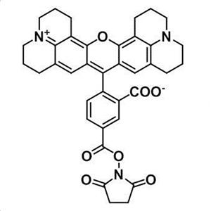 5-ROX-琥珀酰亚胺酯,ROX NHS ester, 5-isomer