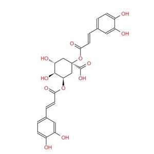 朝鲜蓟提取物,Artichoke extract