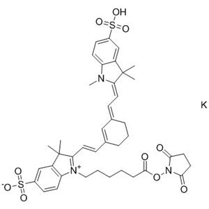 磺酰基Cy7 NHS酯