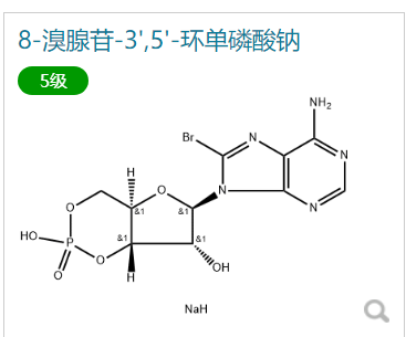 8-溴腺苷-3',5'-环单磷酸钠,8-BROMOADENOSINE-3',5'-CYCLIC MONOPHOSPHATE SODIUM SALT