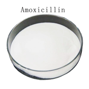 阿莫西林,Amoxicillin