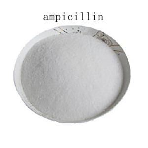 氨苄西林三水合物,Ampicillin trihydrate