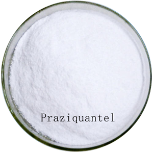 吡喹酮,Praziquantel