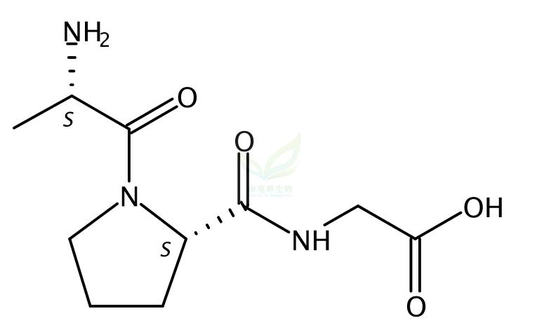 L-丙氨酰-L-脯氨酰甘氨酸,Alanylprolylglycine