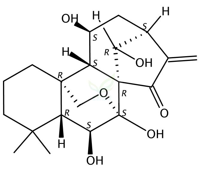 rosthorin A