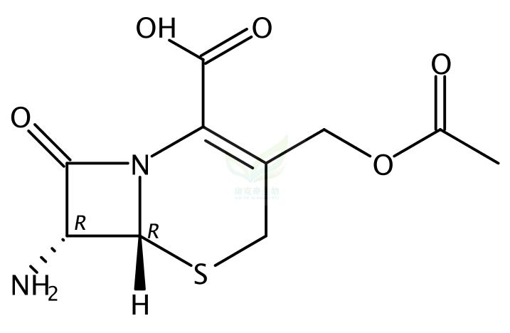 7-氨基头孢霉烷酸,7-Aminocephalosporanic acid
