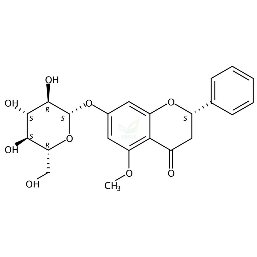 5-甲氧基-乔松苷,5-MethoxyPinocembroside