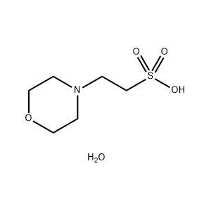 2-(N-嗎啉)乙磺酸一水物 中間體 145224-94-8