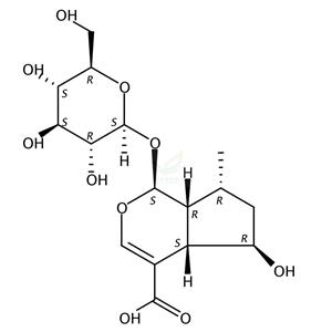 8-dehydroxy shanzhiside  1008532-71-5 