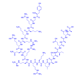 Tat-NR2B9c對(duì)照多肽/847829-41-8/Tat-NR2Baa