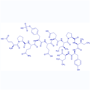 Src同源2(SH2)结构域配体多肽/147612-86-0/SH2 Domain Ligand (2)