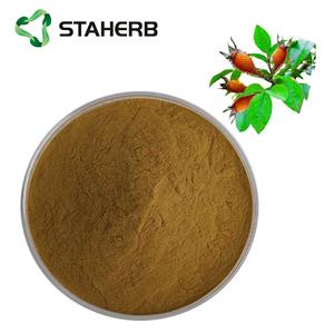 金櫻子提取物,Laevigata fruit extract