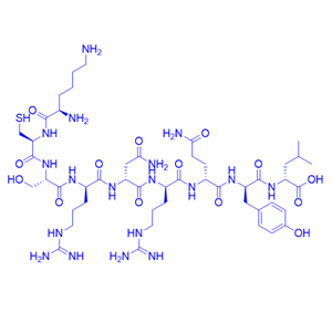 H2-Db限制性肽Smcy HY Peptide 738-746,Smcy HY Peptide 738-746
