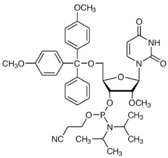 2'-OME-U-CE-亚磷酰胺,DMT-2'-OMe-U-CE Phosphoramidite