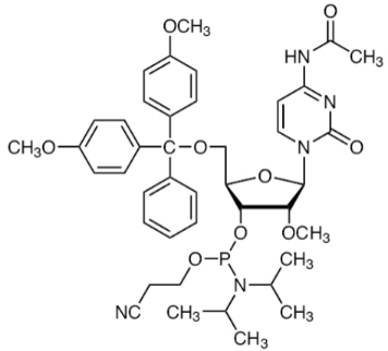 2'-OME-AC-RC 亚磷酰胺单体,DMT-2'-OMe-C(Ac)-CE Phosphoramidite
