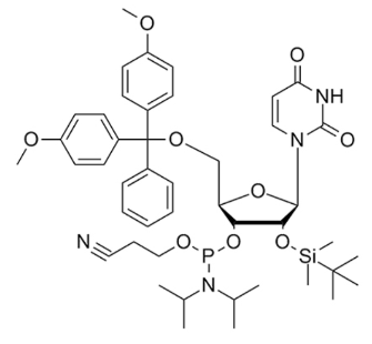 2'-TBDMS-RU 亚磷酰胺单体,DMT-2'-O-TBDMS-U-CE Phosphoramidite