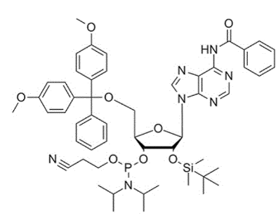 BZ-腺苷亚磷酰胺单体,DMT-2'-O-TBDMS-A(Bz)-CE Phosphoramidite