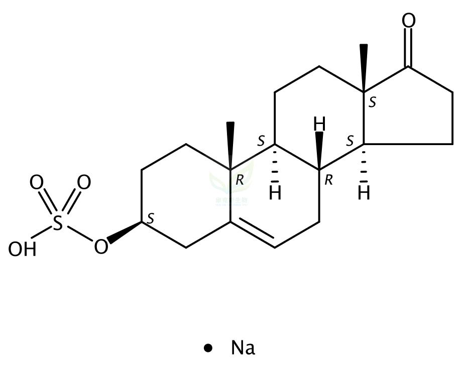 去氢表雄酮硫酸钠,Sodium Prasterone Sulfate