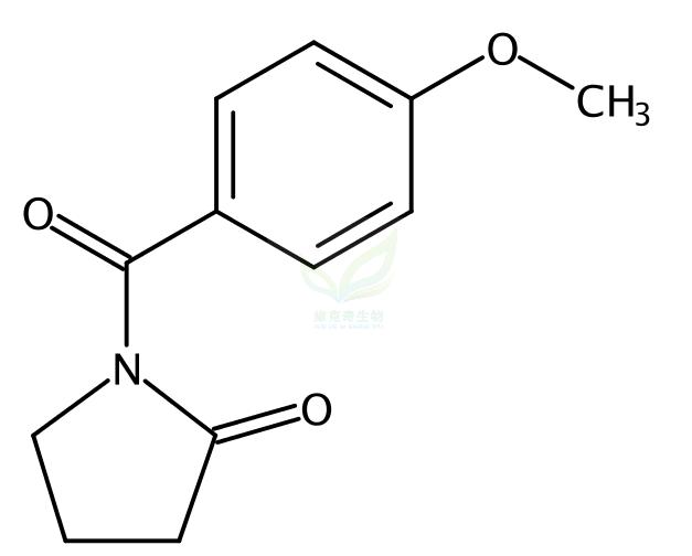 茴拉西坦,Aniracetam