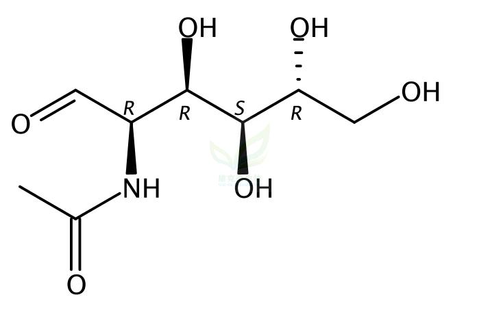 N-乙酰化氨基葡萄糖,N-Acetylglucosamine