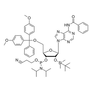 BZ-腺苷亚磷酰胺单体,DMT-2