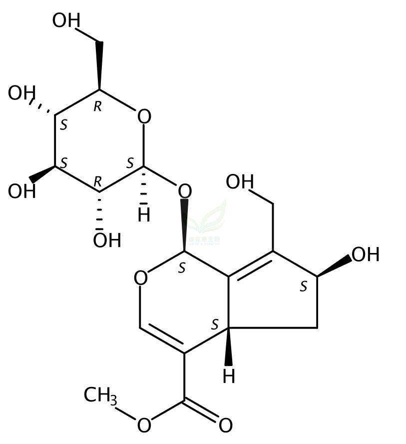 10-羟基大车前草苷,10-Hydroxymajoroside