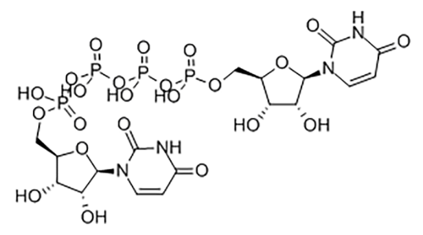 地夸磷索四钠,Diquafosol tetrasodium