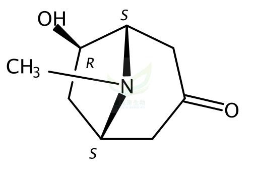 6-羟基托品酮,6-Hydroxytropinone/exo-6-Hydroxytropinone/(±)-6β-Hydroxytropinone