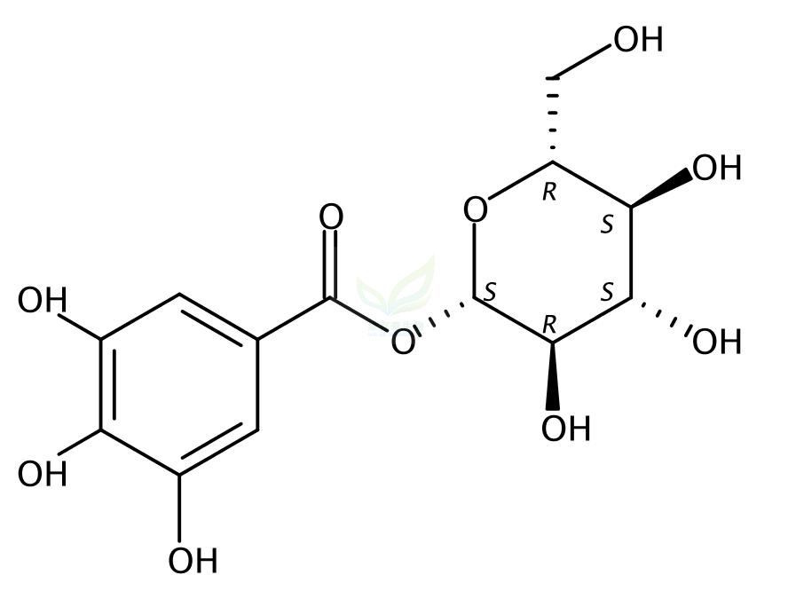 葡萄糖没食子鞣苷,beta-Glucogallin