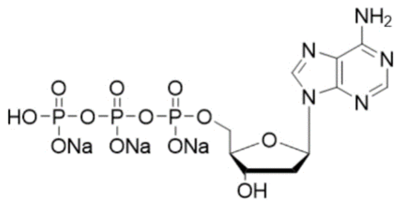 2'-脱氧腺苷-5'-二磷酸二钠盐,dATP 100mM solution