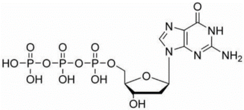 2'-脱氧鸟苷-5'-三磷酸三钠盐,dGTP 100mM solution