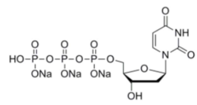 100MM脱氧尿苷三磷酸溶液 (DUTP 100MM),2'-Deoxyuridine-5'-triphosphate trisodium salt