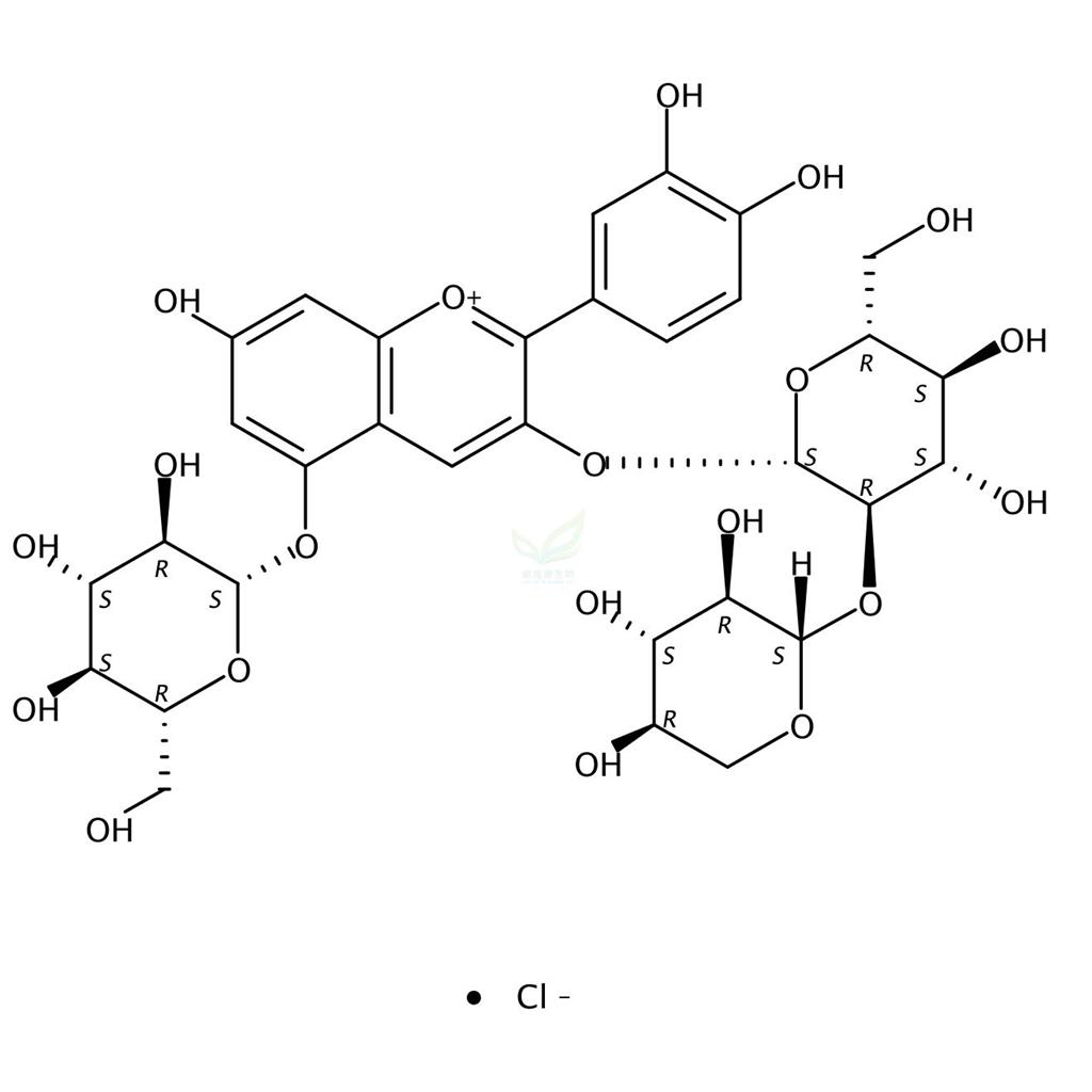 矢车菊素-3-O-桑布双糖苷-5-O-葡萄糖苷,Cyanidin-3-O-sambubioside-5-O-glucoside chloride