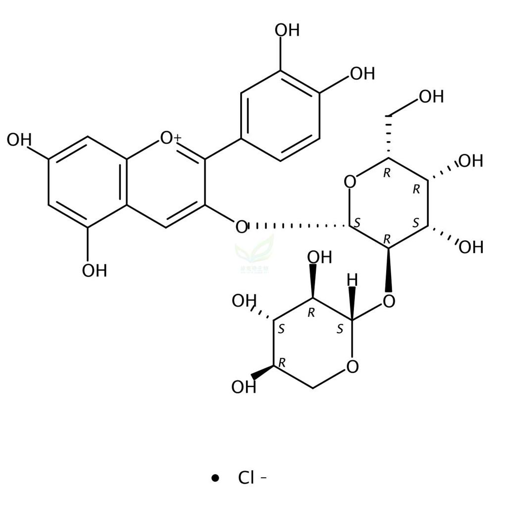 矢车菊素-3-O-半乳糖酸木糖甙氯化物,Cyanidin-3-O-lathyroside chloride