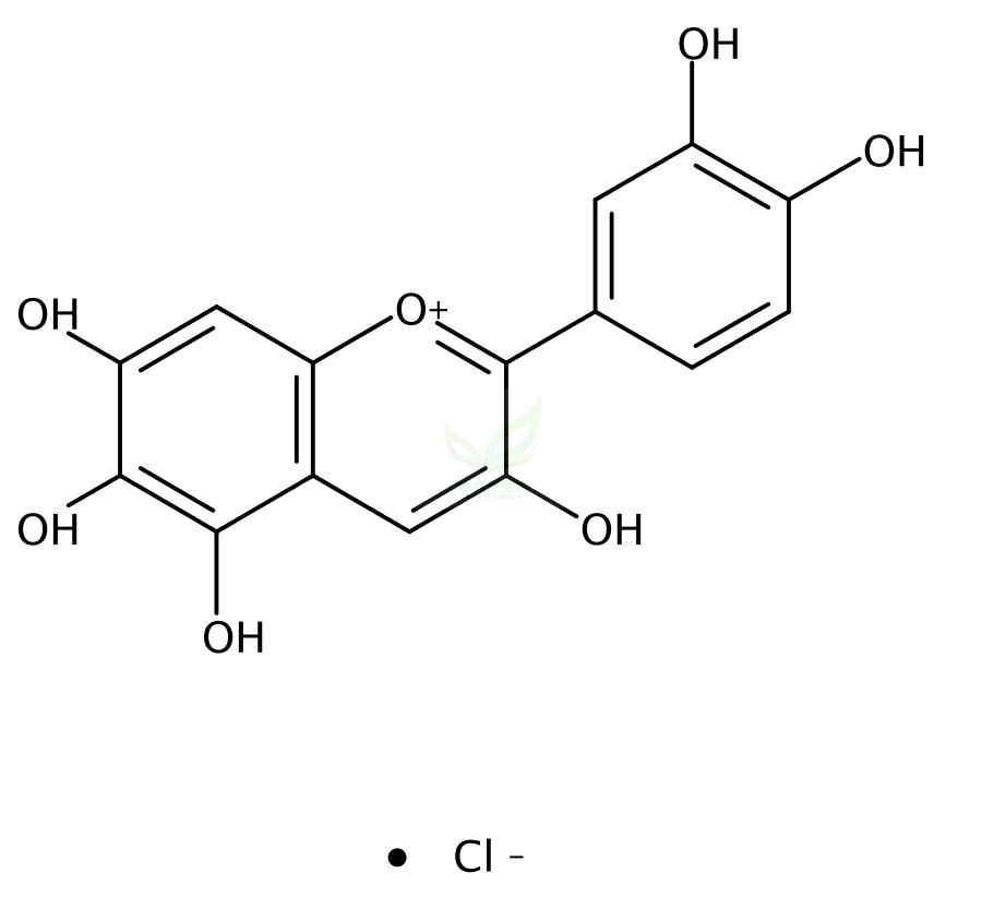 槲皮苷氯化物,Quercetagetinidin chloride