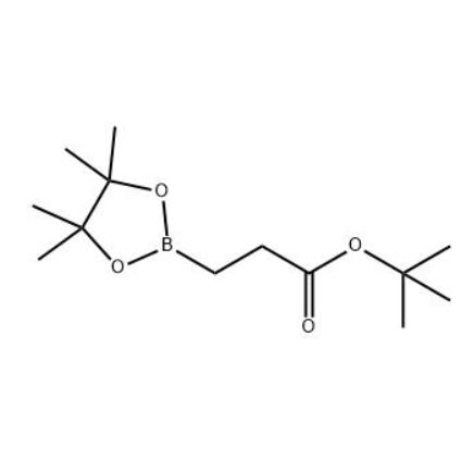 2-(叔丁氧羰基)乙基硼酸頻哪醇酯,tert-Butyl 3-(4,4,5,5-tetramethyl-[1,3,2]dioxaborolan-2-yl) propionate