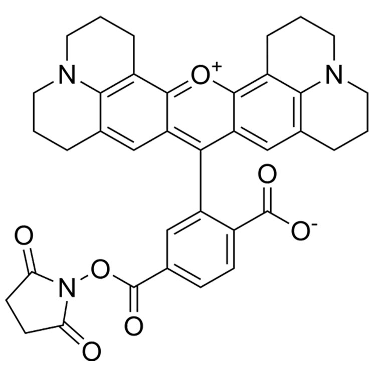 6-羧基-X-羅丹明琥珀酰亞胺酯,6-ROX, SE