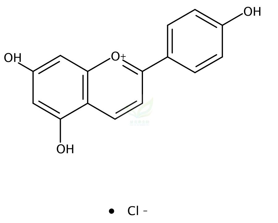 氯化芹菜定,Apigeninidin chloride