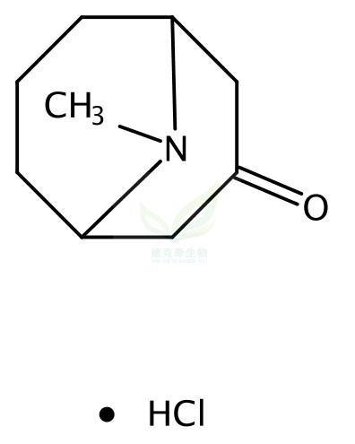 盐酸假石榴碱,Pseudopelletierine hydrochloride