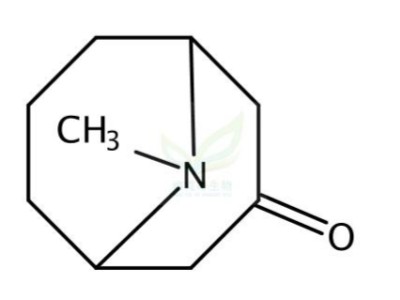 假石榴碱,Pseudopelletierine