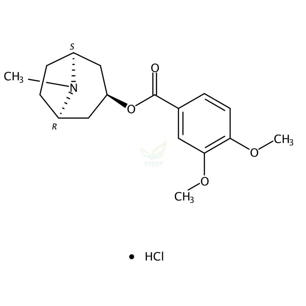 盐酸旋花胺,Convolvamine hydrochloride