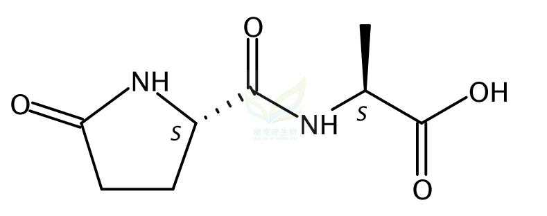 L-焦谷氨酰-L-丙氨酸,L-Pyrrolidonecarboxyl-L-alanine