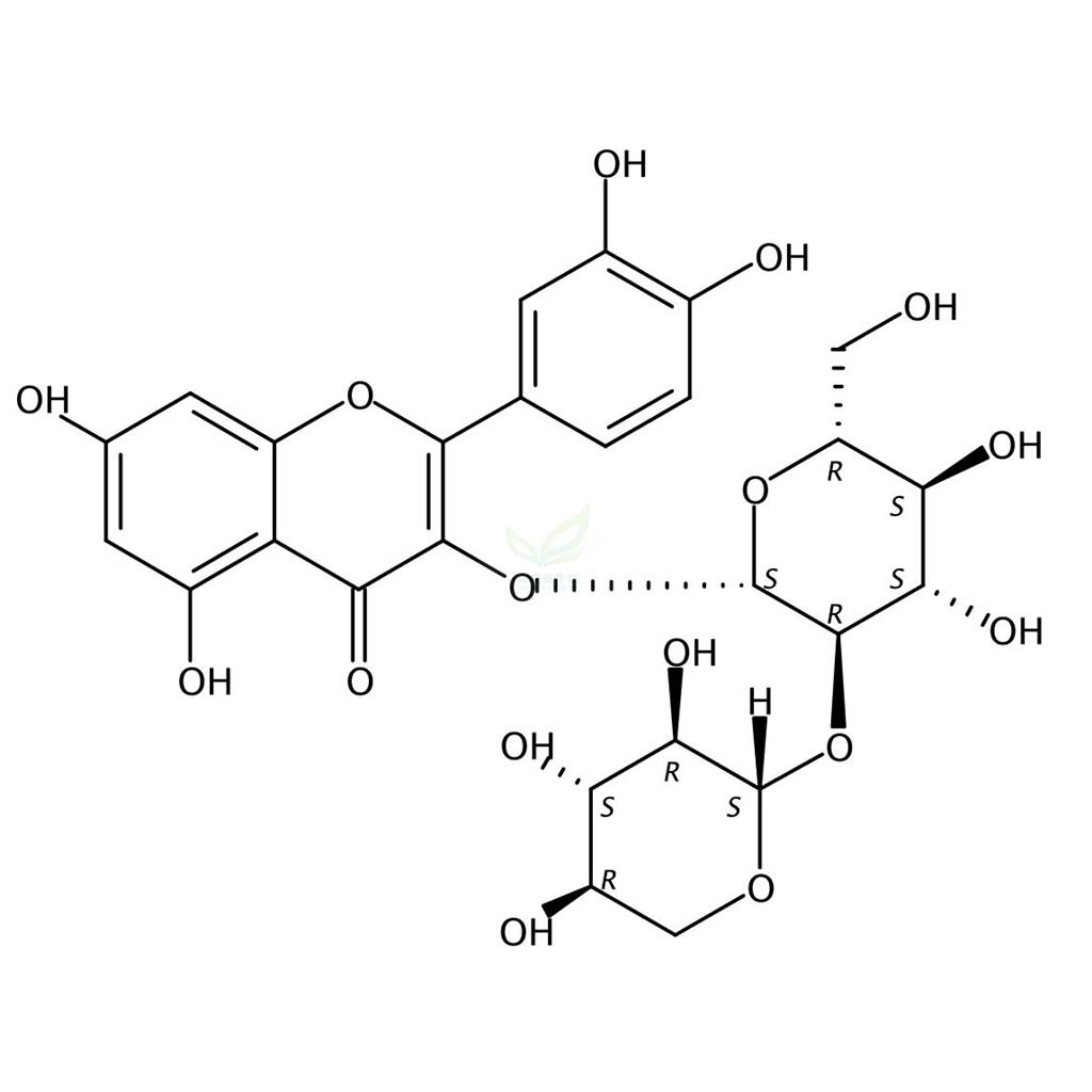槲皮素-3-O-木糖（1-2）葡萄糖,Quercetin-3-O-β-D-ribosyl-(1→2)-β-D-glucoside