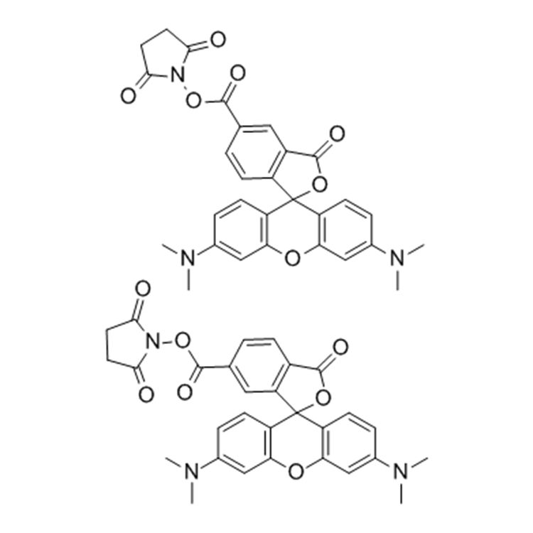 5(6)-羧基四甲基罗丹明琥珀酰亚胺酯,5-(and-6)-Carboxytetramethylrhodamine, succinimidyl ester, mixed isomers
