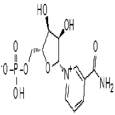 Β-烟酰胺单核苷酸,Nicotinamide ribonucleotide