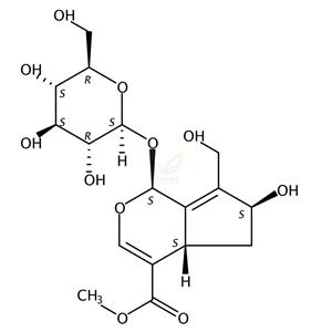 10-羟基大车前草苷 10-Hydroxymajoroside