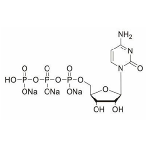 5-胞苷三磷酸钠盐水合物,CTP 100mM solution