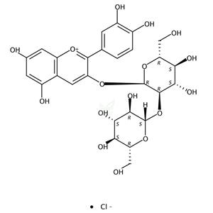 矢车菊素-3-O-槐糖苷氯化物 