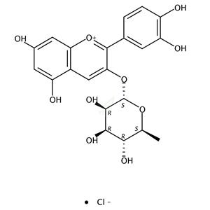 矢车菊素-3-O-鼠李糖苷氯化物 